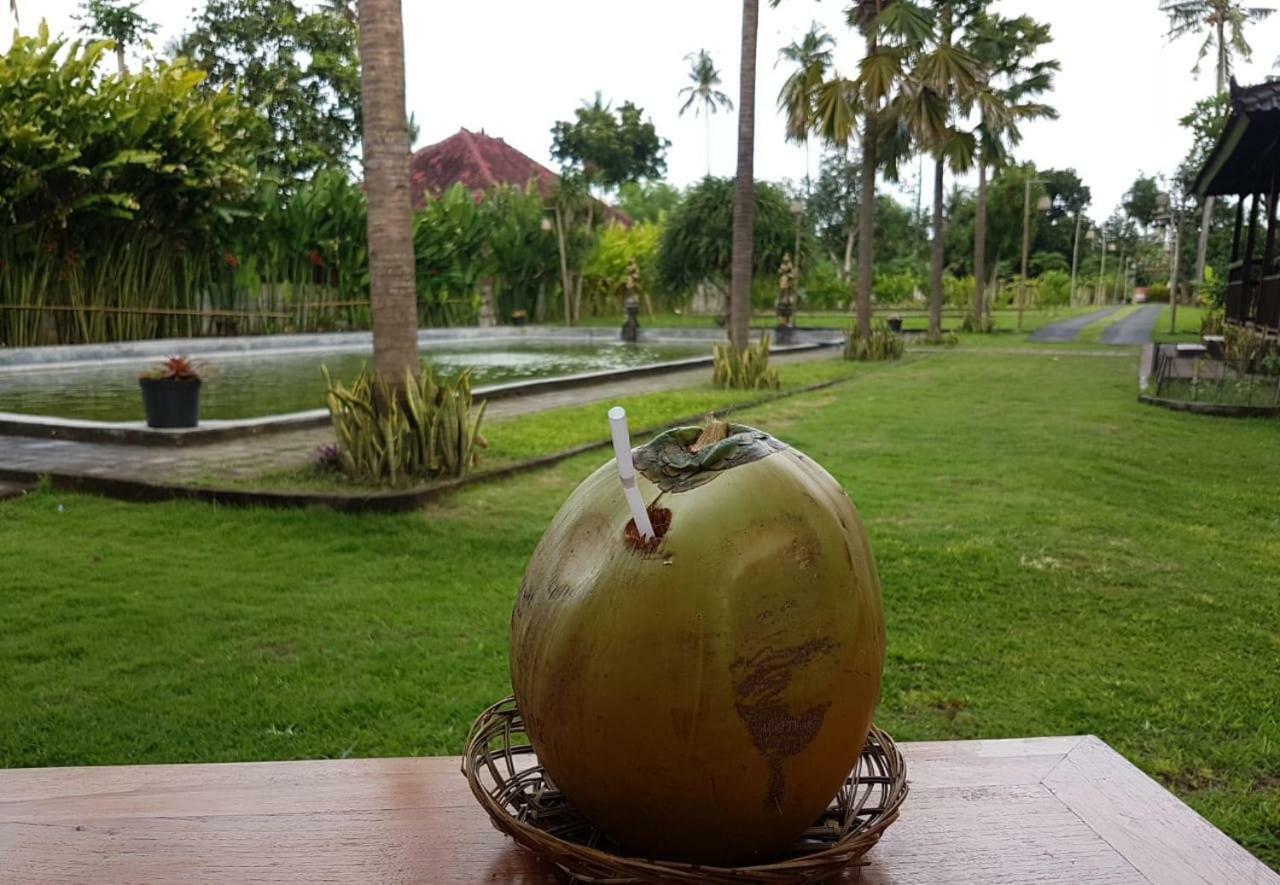 Buana Ecofarm Ecolodge Grokgak Dış mekan fotoğraf