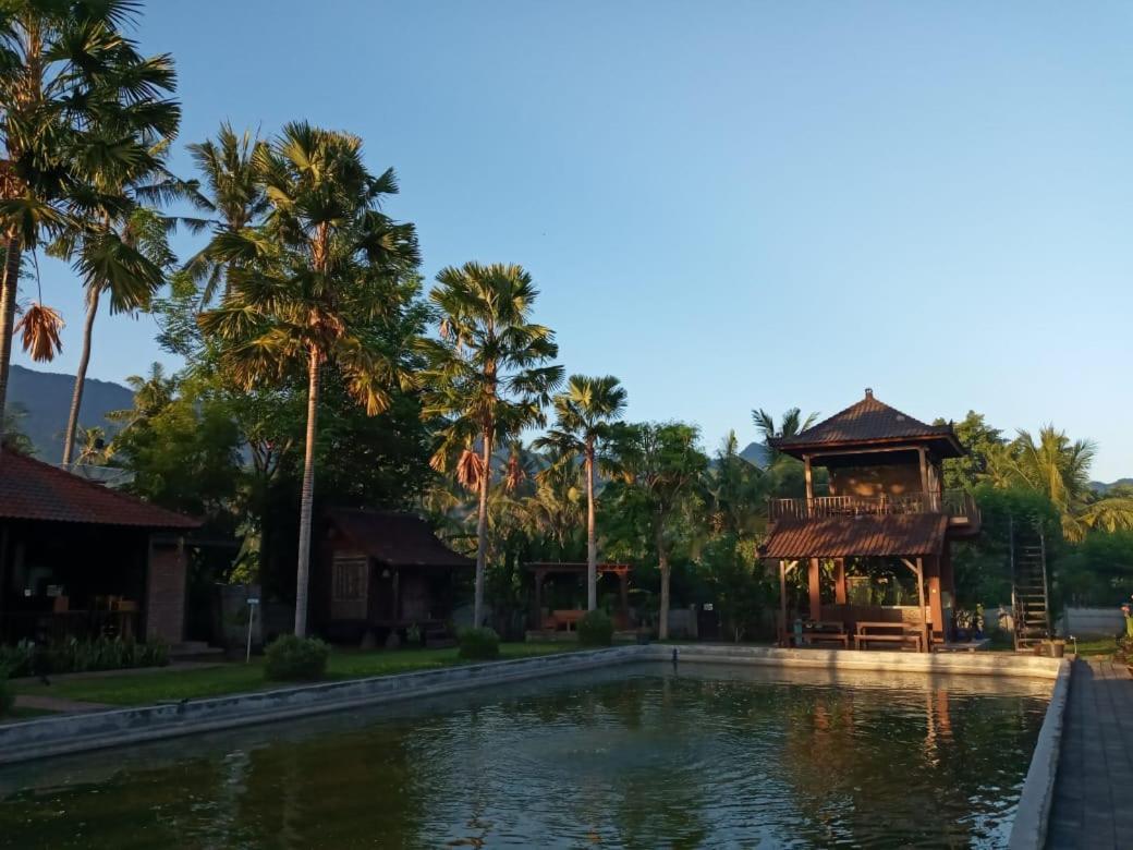 Buana Ecofarm Ecolodge Grokgak Dış mekan fotoğraf